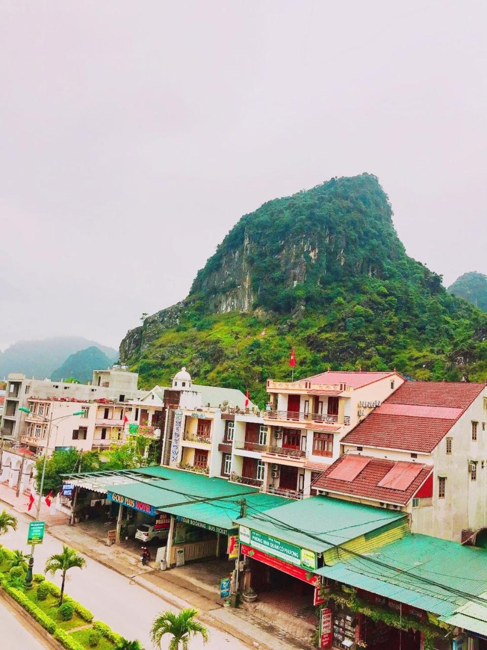 Golden Forest Homestay Фонгня Экстерьер фото
